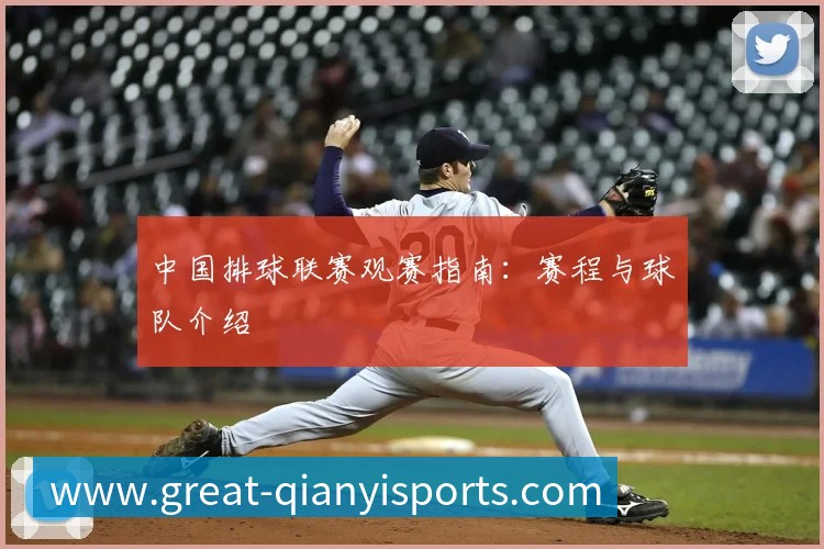 中国排球联赛观赛指南:赛程与球队介绍